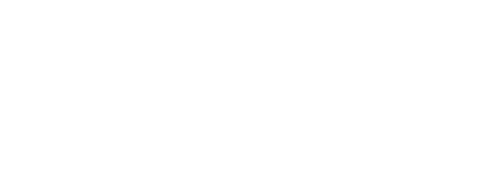 UFC